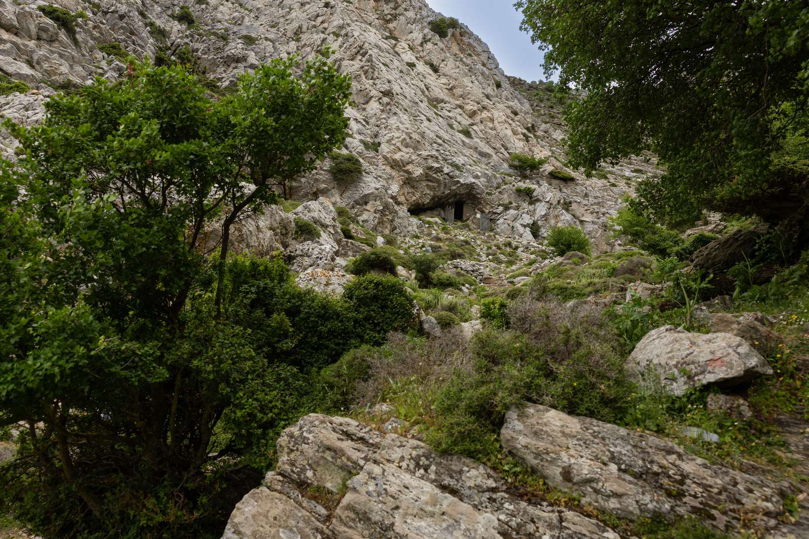 Cave of Zeus